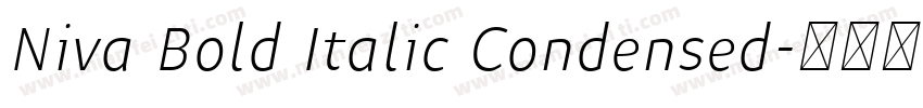 Niva Bold Italic Condensed字体转换